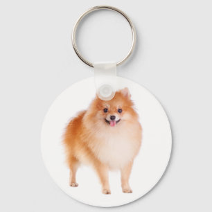 Pomeranian Pom Pom Puppy Dog Keychain