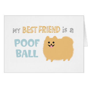 Pomeranian Poof Ball