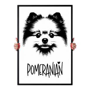 Pomeranian Pop Art Black & White Chic Aesthetic Poster