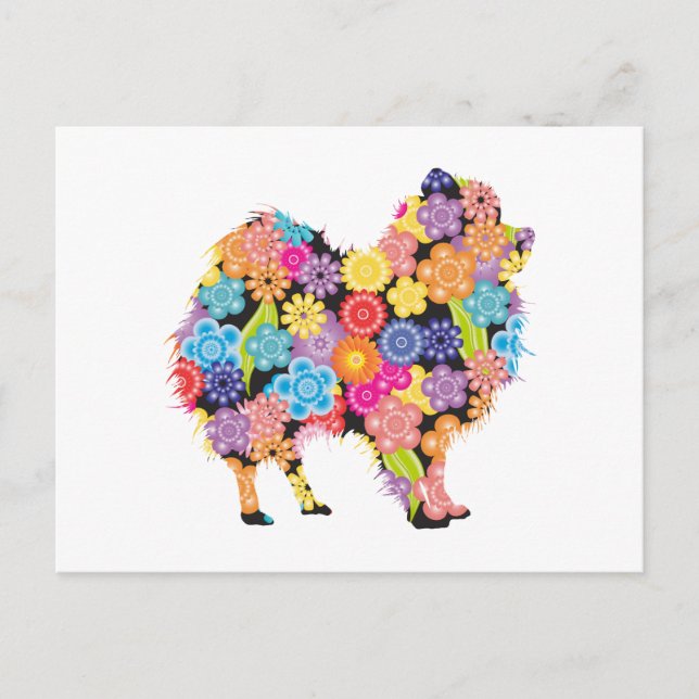 Pomeranian Postcard (Front)