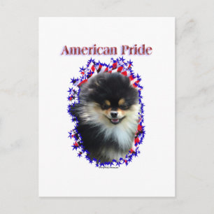 Pomeranian Pride Postcard