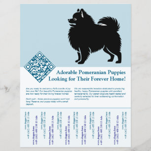 Pomeranian Puppies Flyer