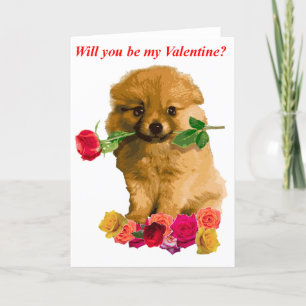 Pomeranian Puppy Be My Valentine Roses Holiday Card