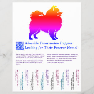 Pomeranian Puppy Drawing full of colour Flyer