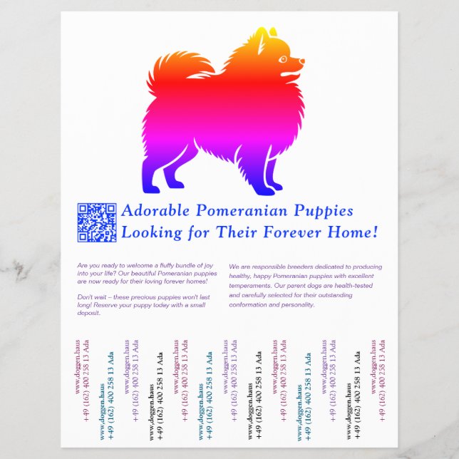 Pomeranian Puppy Drawing full of colour  Flyer (Front)