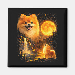 Pomeranian Puppy Howling to Protector Under The Magnet