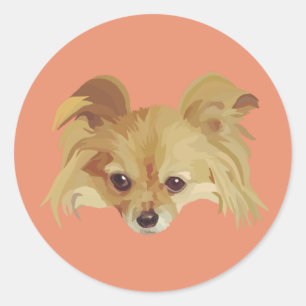 Pomeranian puppy sticker