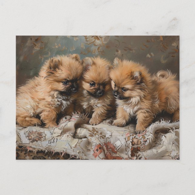 Pomeranian Puppy Trio Vintage Postcard (Front)