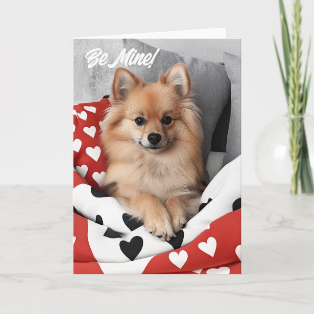 Pomeranian Puppy Valentine Card (Front)