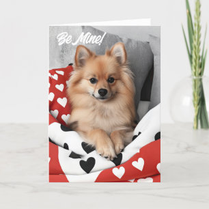 Pomeranian Puppy Valentine Card