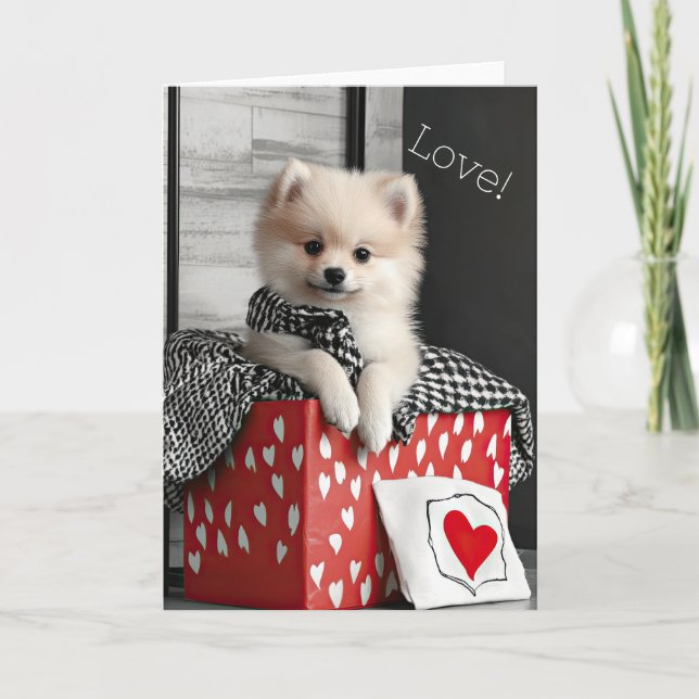 Pomeranian Puppy Valentine Card (Front)