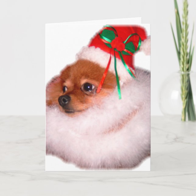 Pomeranian Santa Christmas Card (Front)