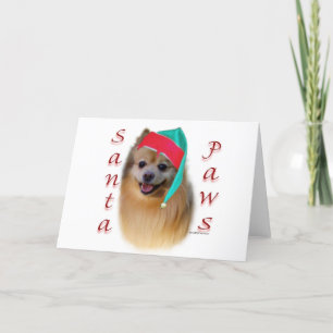 Pomeranian Santa Paws Holiday Card