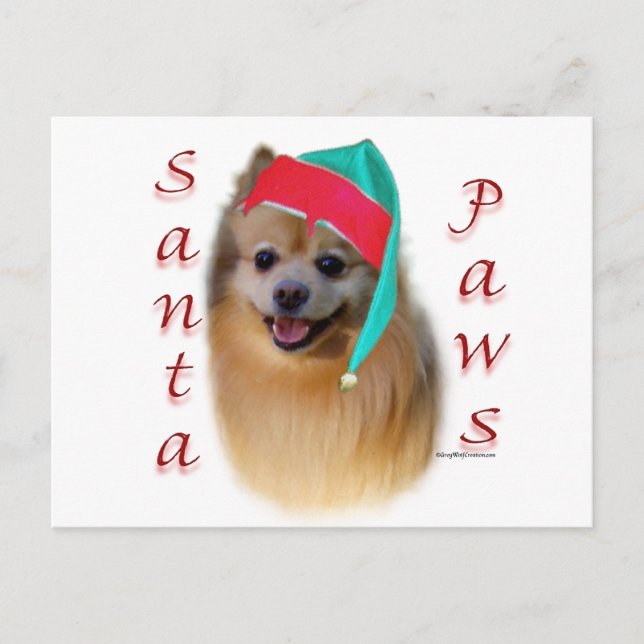 Pomeranian Santa Paws Holiday Postcard (Front)