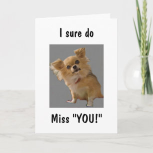 POMERANIAN SAYS "I SURE DO MISS YOU" CARD