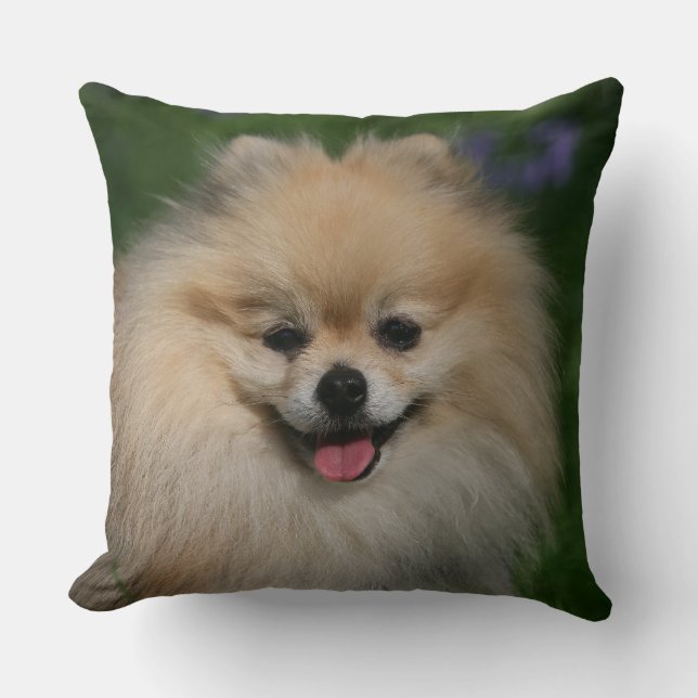 Pomeranian Smiling Cushion (Front)