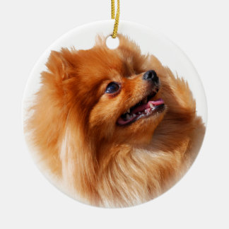 Pomeranian Spitz Ceramic Tree Decoration