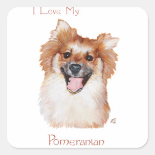 Pomeranian Square Sticker