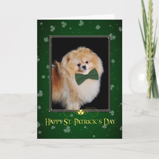 Pomeranian St. Patrick's Day Card (Front)