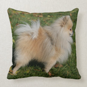 Pomeranian Standing Cushion