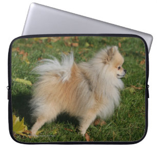 Pomeranian Standing Laptop Sleeve