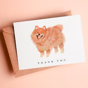 Pomeranian Thank You Cards