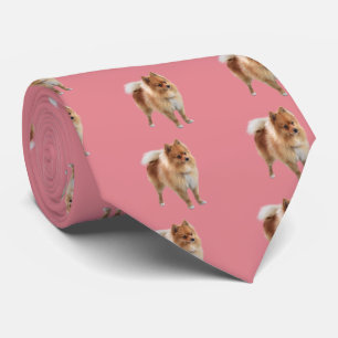 Pomeranian Tie
