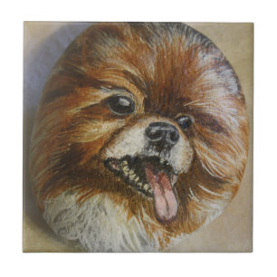 Pomeranian Tile