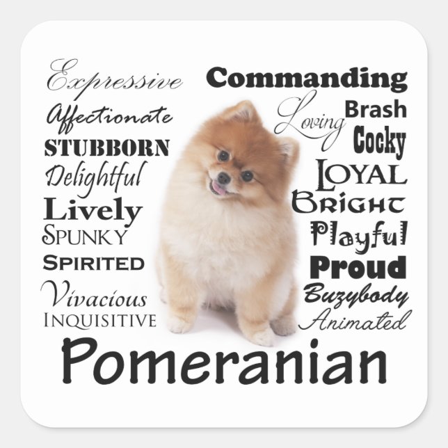 Pomeranian Traits Stickers (Front)