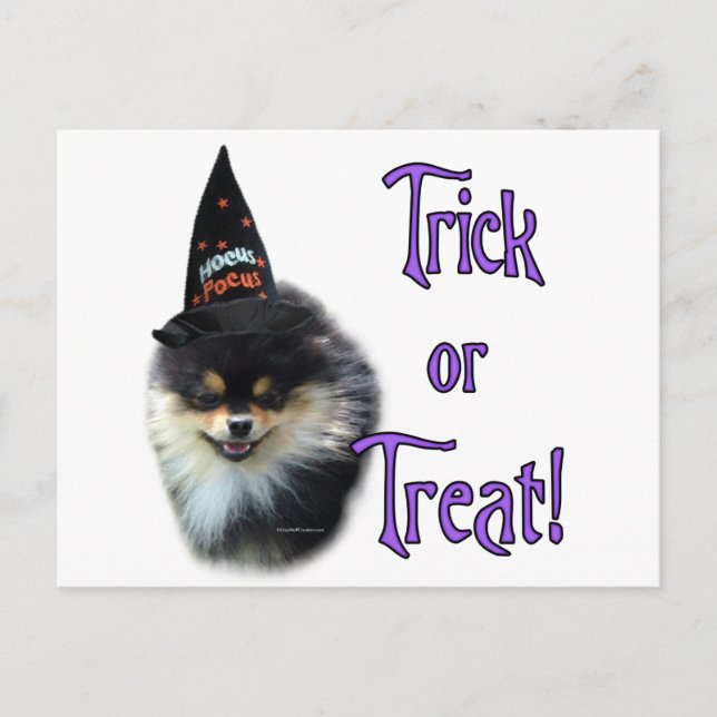 Pomeranian Trick Postcard (Front)