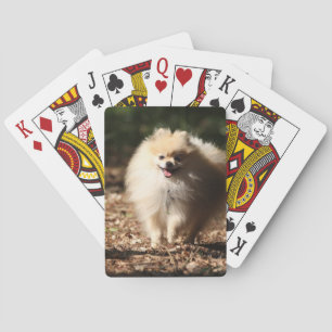 Pomeranian Trotting in the Fallen Leaves Playing Cards