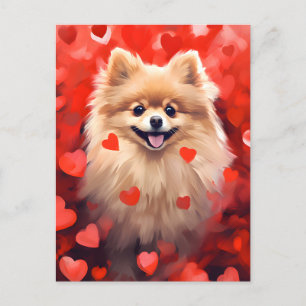 Pomeranian Valentines day Postcard