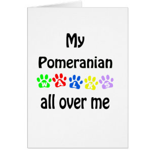 Pomeranian Walks Design