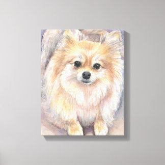 Pomeranian Watercolor Painting Pom Canvas Print