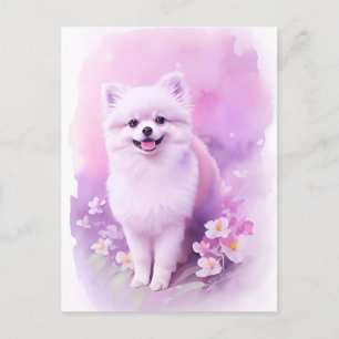 Pomeranian Watercolor Portrait 1 Postcard