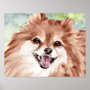 Pomeranian Watercolor Poster