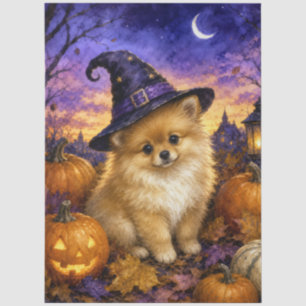 Pomeranian Witch Hat Pumpkin Tissue Paper