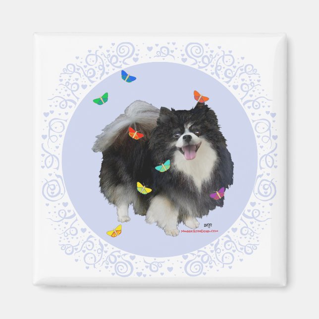 Pomeranian with Butterflies Magnet (Front)