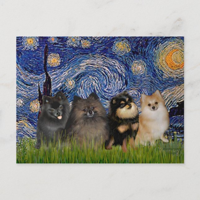 Pomeranians (four) - Starry Night Postcard (Front)