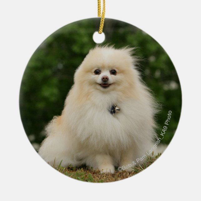 Pomeraning Sitting Ceramic Tree Decoration (Front)