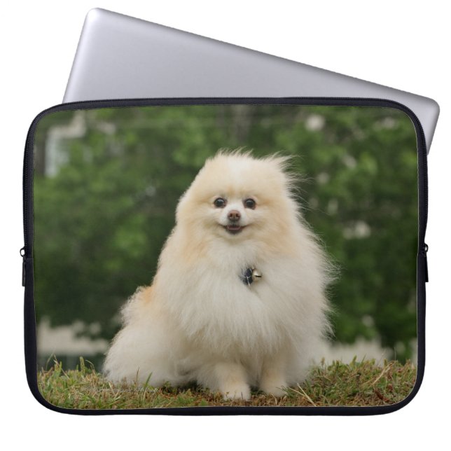 Pomeraning Sitting Laptop Sleeve (Front)