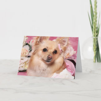 Pomerian Valentine Card