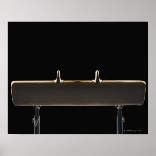Pommel horse poster