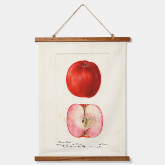 Pomological Water Colour Shasta Variety Hanging Tapestry