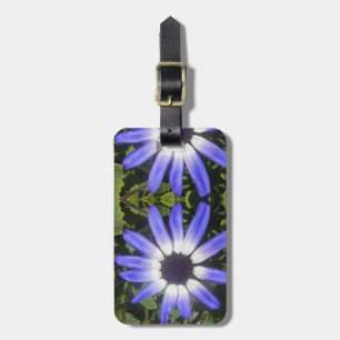 Pompeia Luggage Tag