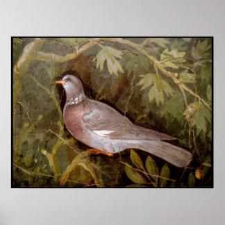 POMPEII COLLECTION / DOVE IN THE GARDEN POSTER