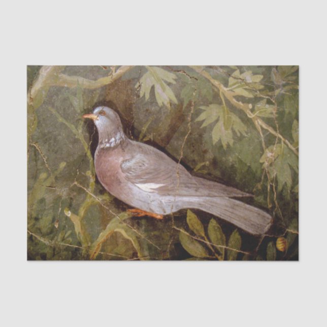 POMPEII COLLECTION / DOVE IN THE GARDEN TISSUE PAPER (Front)