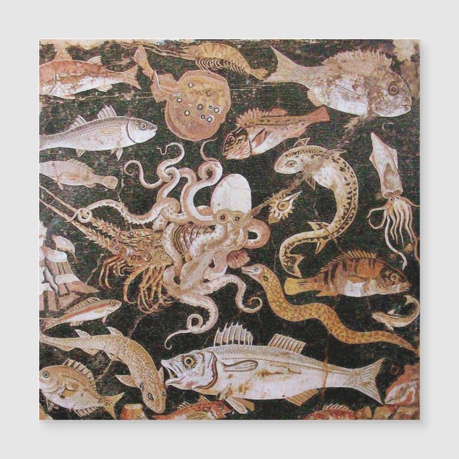 POMPEII COLLECTION / OCEAN - SEA LIFE SCENE (Front)
