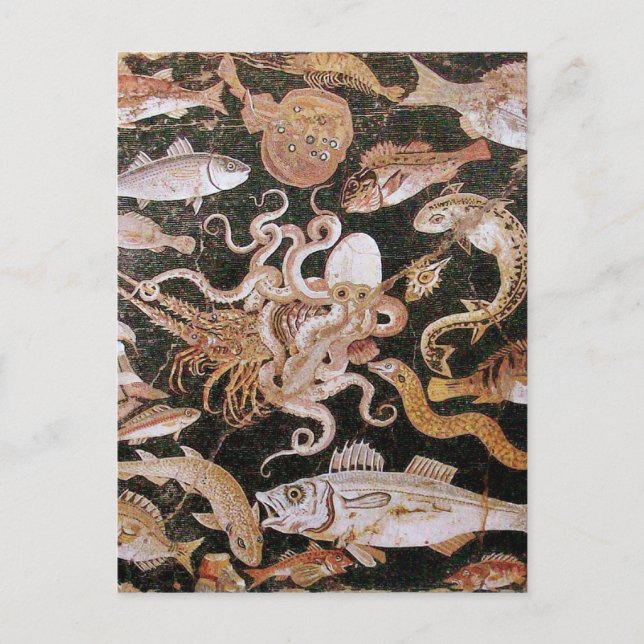 POMPEII COLLECTION / OCEAN - SEA LIFE SCENE POSTCARD (Front)