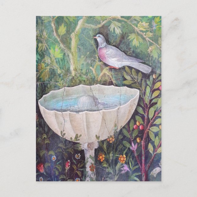 Pompeii Fresco of Pigeon over a Fountain  Postcard (Front)